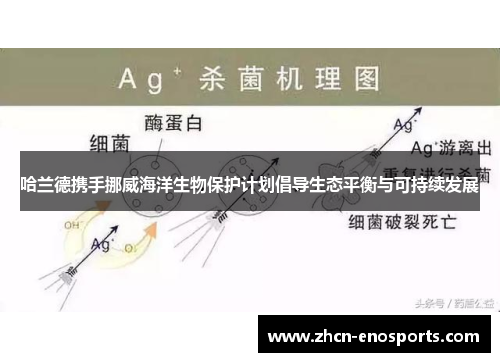 哈兰德携手挪威海洋生物保护计划倡导生态平衡与可持续发展