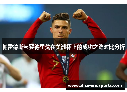 帕雷德斯与罗德里戈在美洲杯上的成功之路对比分析