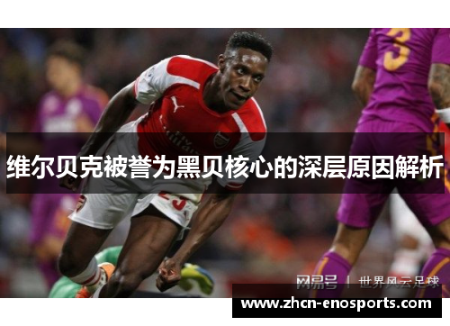 维尔贝克被誉为黑贝核心的深层原因解析